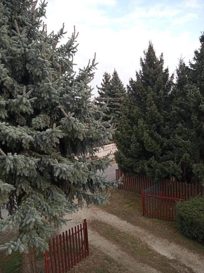 Ferienwohnung Borostyan Vendeghaz Balatonkeresztúr Exterior foto